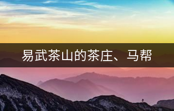 易武茶山的茶莊、馬幫