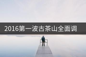 2016第一波古茶山全面調(diào)研第二站——勐海之章朗