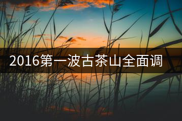 2016第一波古茶山全面調(diào)研第四站——臨滄·大雪山、小戶賽