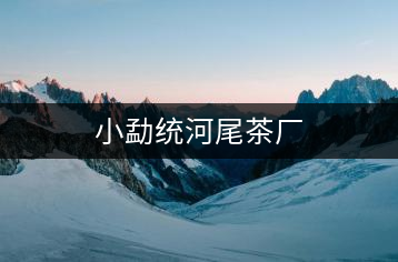 小勐統(tǒng)河尾茶廠