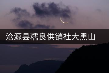 滄源縣糯良供銷(xiāo)社大黑山茶廠