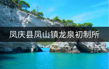 鳳慶縣鳳山鎮(zhèn)龍泉初制所