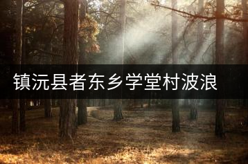 鎮(zhèn)沅縣者東鄉(xiāng)學堂村波浪茶廠