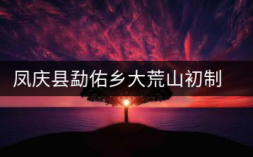 鳳慶縣勐佑鄉(xiāng)大荒山初制所