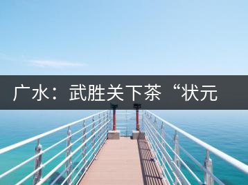 廣水：武勝關(guān)下茶“狀元”成了全國科普帶頭人