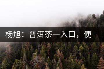 楊旭：普洱茶一入口，便知產(chǎn)地和年份