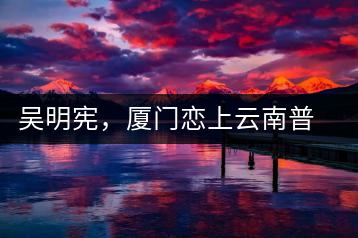 吳明憲，廈門戀上云南普洱茶