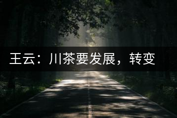 王云：川茶要發(fā)展，轉(zhuǎn)變思想是關(guān)鍵