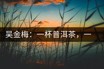 吳金梅：一杯普洱茶，一份云南情