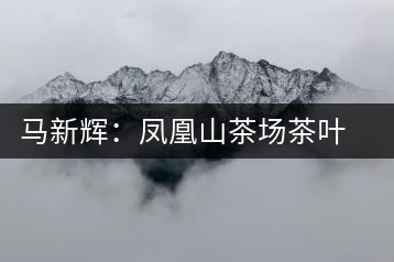 馬新輝：鳳凰山茶場(chǎng)茶葉產(chǎn)業(yè)致富帶頭人