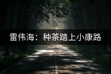 雷偉海：種茶踏上小康路