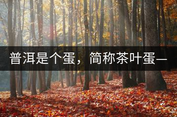 普洱是個(gè)蛋，簡(jiǎn)稱茶葉蛋——楊鎮(zhèn)瑜訪談錄