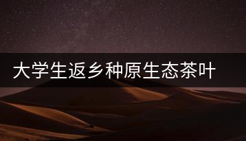 大學生返鄉(xiāng)種原生態(tài)茶葉 網上銷售獲好評