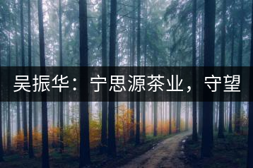 吳振華：寧思源茶業(yè)，守望家鄉(xiāng) 做好“金獎茶王”