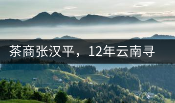 茶商張漢平，12年云南尋茶路