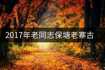 2017年老同志保塘老寨古樹茶開湯品鑒