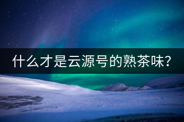 什么才是云源號的熟茶味？