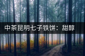 中茶昆明七子鐵餅：甜醇甘潤，陳韻綿長