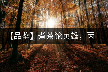 【品鑒】煮茶論英雄，丙申年易武麻黑