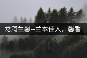 龍潤蘭馨–蘭本佳人，馨香高雅