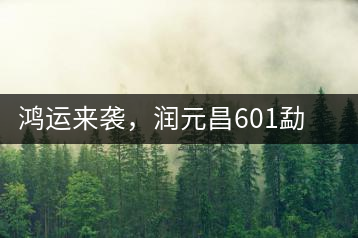 鴻運(yùn)來襲，潤(rùn)元昌601勐海紅韻熟茶即將上市