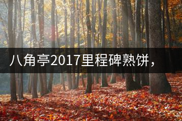 八角亭2017里程碑熟餅，自先發(fā)酵而后愛人