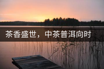 茶香盛世，中茶普洱向時代獻禮