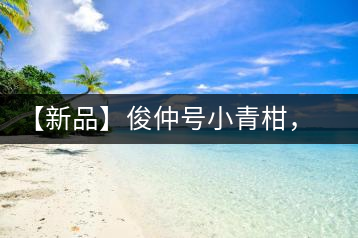 【新品】俊仲號小青柑，青果來傾城