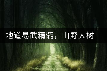 地道易武精髓，山野大樹珍品—普秀易武生態(tài)喬木圓茶即將上市