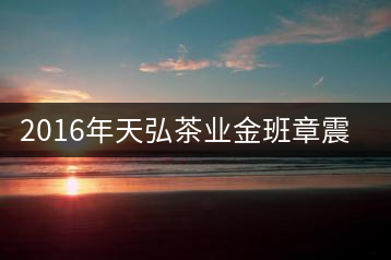 2016年天弘茶業(yè)金班章震撼上市！
