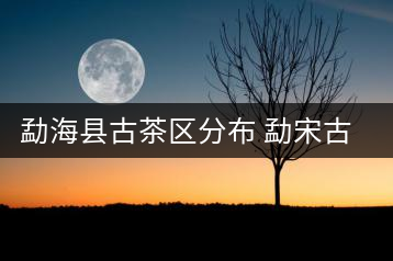 勐?？h古茶區(qū)分布 勐宋古茶山