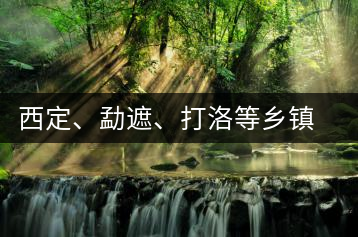 西定、勐遮、打洛等鄉(xiāng)鎮(zhèn)古茶樹資源