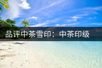 品評(píng)中茶雪?。褐胁栌〖?jí)茶的經(jīng)典傳承