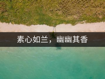 素心如蘭，幽幽其香