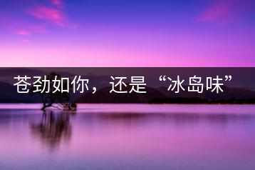 蒼勁如你，還是“冰島味”嗎？
