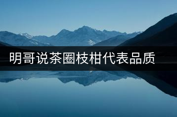 明哥說茶圈枝柑代表品質(zhì)高點，是玩家級的產(chǎn)品