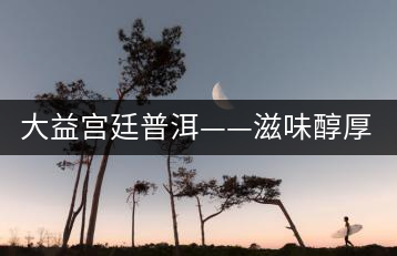 大益宮廷普洱——滋味醇厚，陳香濃郁