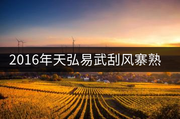 2016年天弘易武刮風(fēng)寨熟茶一泡耐人尋味！