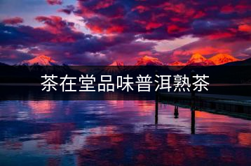 茶在堂品味普洱熟茶