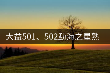 大益501、502勐海之星熟茶