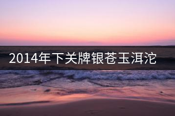 2014年下關(guān)牌銀蒼玉洱沱茶品評(píng)
