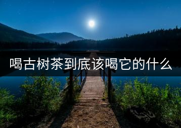 喝古樹茶到底該喝它的什么？