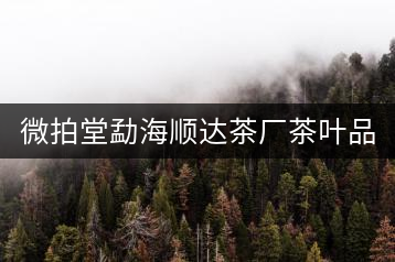 微拍堂勐海順達茶廠茶葉品質如何？