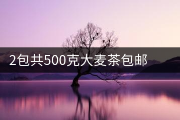 2包共500克大麥茶包郵小袋裝濃香型飯店專(zhuān)用茶包葉飲料小包裝原味