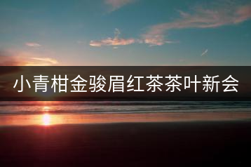 小青柑金駿眉紅茶茶葉新會(huì)生曬陳皮2020武夷濃香型君宜散裝罐裝
