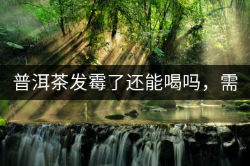 普洱茶發(fā)霉了還能喝嗎，需要怎么處理？