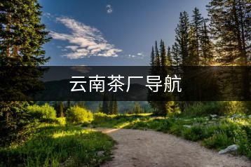云南茶廠導航
