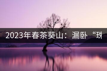 2023年春茶葵山：漏臥“珠江紅：1200元-3200元（有3個(gè)檔次）漏臥“大廠茶”：古樹單株8600-9000元／公斤，中樹4800-5200元／公斤，小樹混采2600-2800元／公斤。