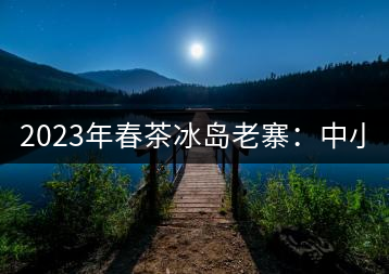 2023年春茶冰島老寨：中小樹(shù)混采2500-3000元／公斤，大樹(shù)：7000-8000元／公斤，古樹(shù)混采：28000-36000元／公斤