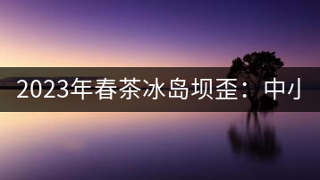 2023年春茶冰島壩歪：中小樹(shù)800元／公斤，古樹(shù)1400-1600元／公斤